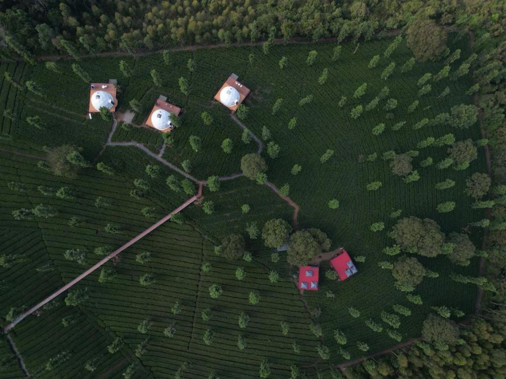 Vythiri Tea Valley I Best Hotel In Wayanad L Hotels In Vythiri Wayanad Kültér fotó